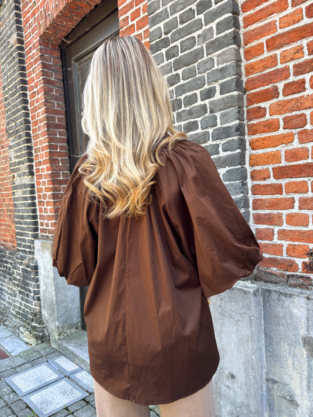 Chestnut blouse