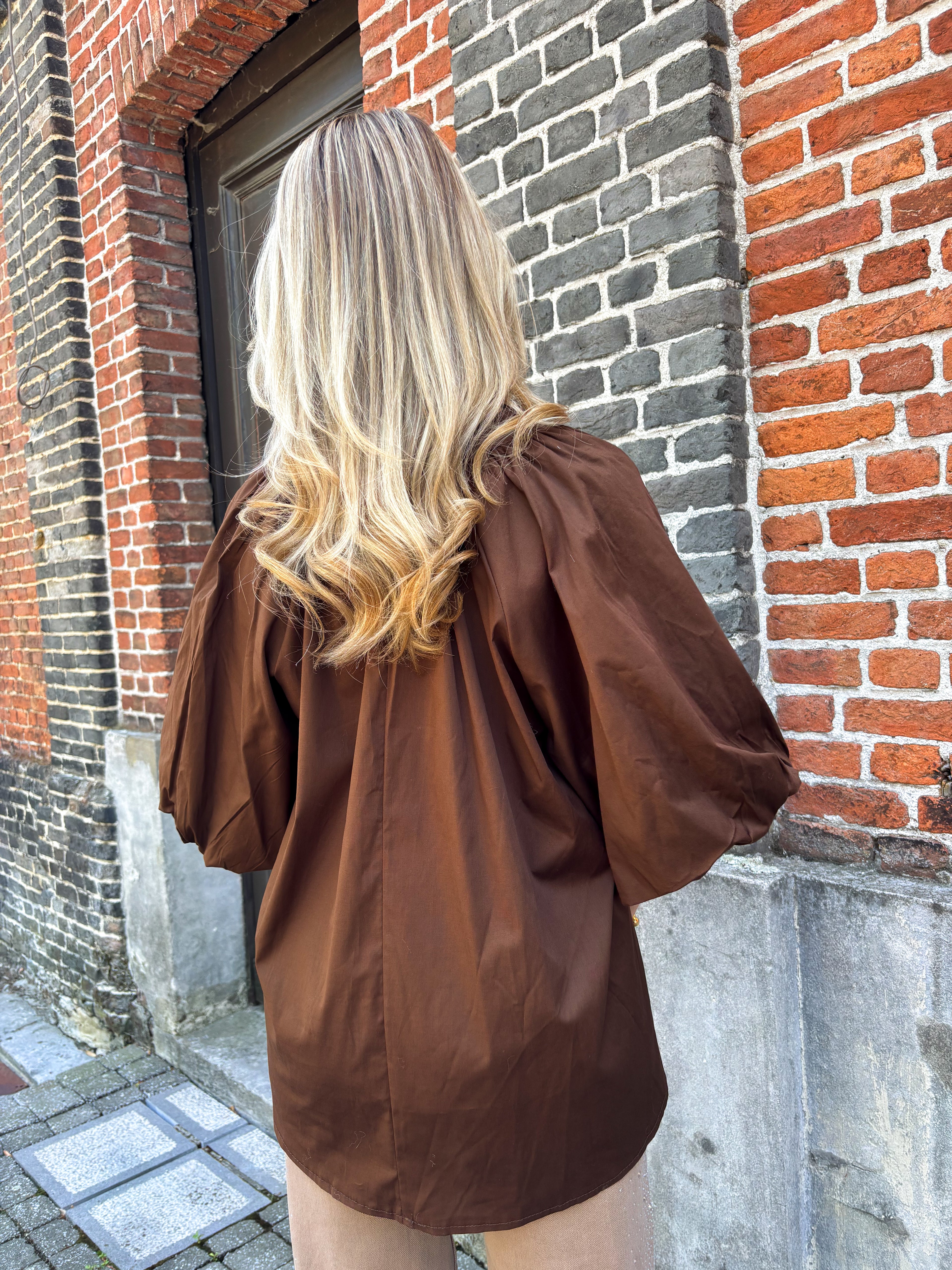 Chestnut blouse